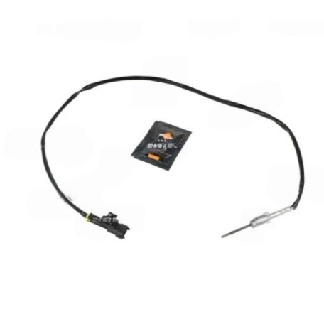 Acceder a la pieza Sensor temperatura gas escape