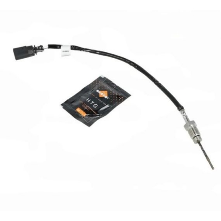 Acceder a la pieza Sensor de temperatura de gas de escape 