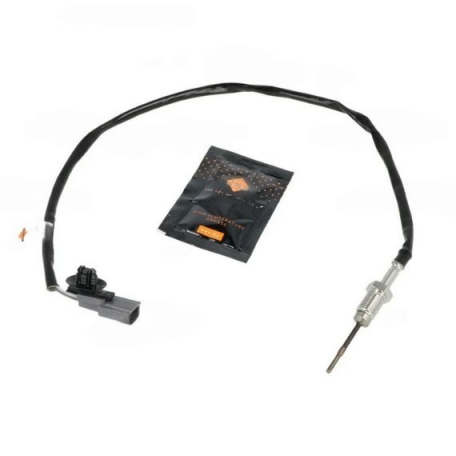 Acceder a la pieza Sensor de temperatura de gas de escape