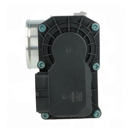 Acceder a la pieza Cuerpo de mariposa