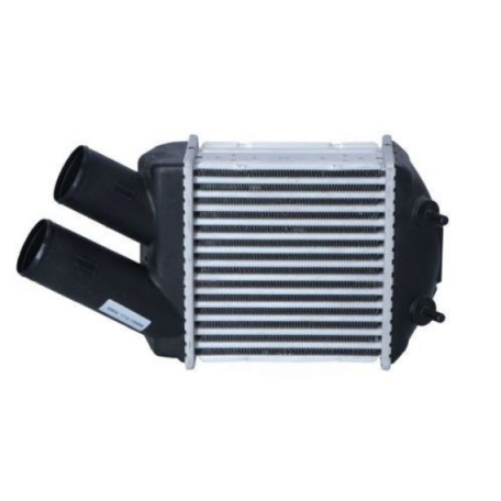 Acceder a la pieza Refrigerador de aire sobrealimentación 1,9L TD - TDI - DCI - DTI